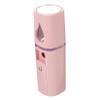 Didiseaon Professional Facial Steamer Capacity Face Spa Steamer for Women Mini for view 1