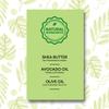 CD COSMO DESIGNS Hydrating Styling Mousse | Avocado & Shea Butter Nourish, Hydrate Hair Lightweight formula with Silky, Smooth Finish | 250ml | 8.4 fl.oz view 4