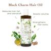 Black Charm hair oil - 100% natural ingredients | Reduces hair fall & dandruff | Strengthens hair roots | 200ml view 2