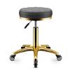 PZHANGZVH Height Adjustable Rolling Stool with Wheels,Round Heavy Duty Hydraulic Stool, Swivel Salon Stool Chair for Massage spa Kitchen Bar Office,F,56cm (S 56cm(22")) view 1