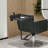 BANEBONE Adjustable Salon Tool Tray - 66lbs Capacity Styling Chair Mounted Organizer with Wig Plate, Rustproof Iron Tray for Hair Extensions/Barber/Spa view 4
