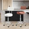 ZFUCMAYL Liftable Saddle Stool with Back,Movable Ergonomic Stool,Saddle Chair with Pedal,Loading Capacity 330ibs,Suitable for Home Office Salon Shop(Color 3) view 2