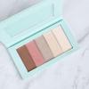 Basic Bundle - Filled Palette + Blender - C2 Faith view 2