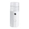 BIUDECO Mini Portable Face Sprayer Abs Material for Refreshing and Hydrating Skin view 1
