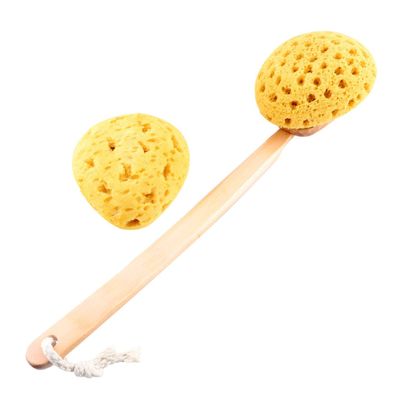 18" Long Handle Shower Sponge Brush Set for Bathing 1 pc Sponge Brush with a Spare Sponge Head Bath Sponge and Lotion Applicator