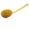 18" 2pcs Extra Long Handle Beechwood Bath Brush with Sponge - Exfoliating & Massaging Back Scrubber for Shower view 2