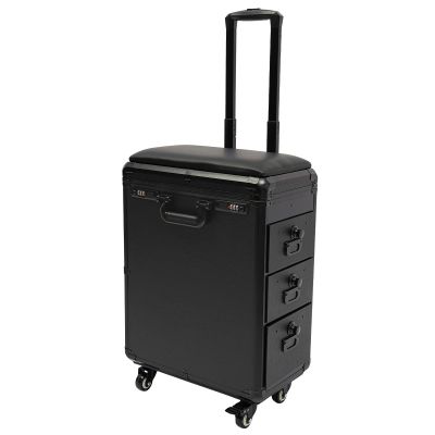 BuufuS Rolling Makeup Train Case, 2 Gear Pull Rod Makeup Cosmetic Suitcase with 3 Digits Lock Artist Travel Case with 3 Side Drawers for Beauty Nail Art Hair Styling Crafter(Metal Panel)