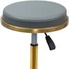 Rolling Stools with Wheels Heavy Duty Saddle Stool, Dental Mobile Chair Saddle, Hydraulic Saddle Rolling Adjustable, Stool Chair for Beauty Salon Massage Dental C, Gold2 view 2