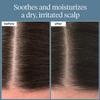 Briogeo Scalp Revival Rosemary Pre-Wash Oil - Moisturizing Scalp Treatment for Dry, Flaky, or Itchy Scalp, Strengthens Hair & Soothes Scalp, Vegan & Cruelty-Free, 1 oz view 2