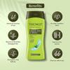 Trichup Herbal Shampoo with Aloe Vera, Neem & Henna - Gentle Herbal Care for Long, Strong Hair - Paraben Free, Unisex, For All Hair Types, Pack of 2 (13.52 fl oz each) view 2