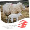 CIMAXIC Lamb Clipper Guide Protective Attachment Clipper Easy to Use Safe Shearing Tool view 4