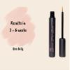 Bertie Lash Serum 2ml view 2