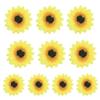 10lots Novelty Masquerades Hair Pin Comfortable Hairclip Children Hair Pin for Various Ages view 1
