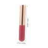 Ipetboom 2pcs Silicone Lip Brush Applicators Portable Cover for Precise Lip Makeup Soft and Comfortable Material for Application for Travel and Daily Use view 4