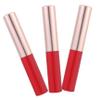 PartyKindom 3pcs Lip Gloss Brushes Cover Ergonomic Lipstick Applicator Concealer Brush for Women Portable Makeup Tool for Smooth Application and Blending view 1