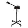 Professional Facial Steamer for Estheticians, Adjustable Height, 0.2 Gal Face Steamer on Wheels for Salon Beauty and Spa Shop view 1
