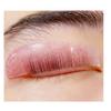 Asian Flat Shields 1mm Thin Lash Lift Pad For NO.1 Perm Soften Eyelashes 100% Korean Glueless Pads Glueless Lash Lifting Shield For Salon Usage Flatter Rods For Perming Lashes Thoroughly (Hot Pink) view 1