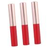 Healvian 3pcs Portable Lip Brush Applicator Cover for Women Lightweight Lip Gloss Applicator for Travel Makeup for Lipstick and Concealer Application view 1