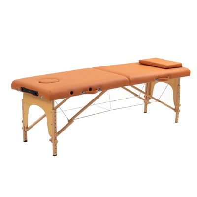Age Table,Adjustable Folding 2 Sections Cosmetic Bed,Suitable for Salons Spa,Static Load Bearing Capacity of 500kg