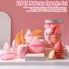 17PCS Makeup Sponge Set with 6PCS Powder Puff, 3PCS Mini Makeup Sponges, 3PCS Foundation Mini Make Up Sponge Puff and 1PCS Make Up Sponges Holder (Pink) view 2
