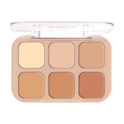 Correcting Concealer Palette - Facial Contouring Makeup Powder Palette, Concealer Palette Powder | Delicate and Natural Tone Beauty Supplies for Parties, Night Out, Shopping, Daily Use, Dating