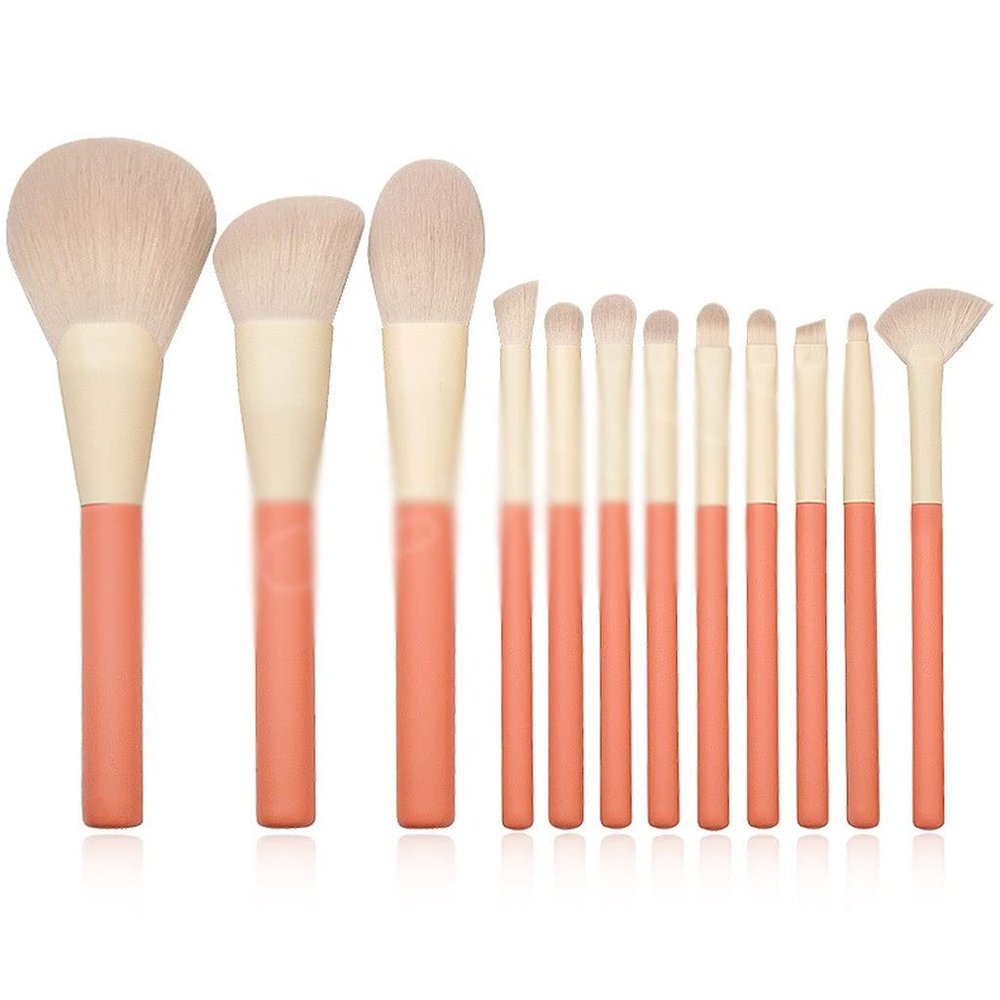 12 Piece Wood Handle Makeup Brush Set Concealer Eye Shadow Blush High Gloss Powder Brush