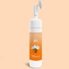 BLONDELIGHT Vitamin C & Turmeric Foaming Cleanser 3.38 Fl Oz | Brightening & Hydrating Face Wash for Sensitive Skin | Deep Cleanse with Natural Ingredients | Nourishing Formula for Glowing Skin view 1