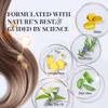 Biotin & Rosemary Shampoo for Hair Growth: Hair Loss Shampoo for Thinning Hair Infused with Nutrient Rich Ingredients for Hair thickening Sulfate Free 10 fl oz view 3