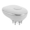 FOMIYES Oil Applicator Comb Oil Massage Brush for Compact Design for Easy Application and Itch Relief for Home and Travel view 1