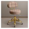 Adjustable Rolling Stool - Hydraulic Swivel Chair with Back Support & Wheels for Salon, Spa, Tattoo, Ergonomic Design for Comfort, Metal Titanium Gold Finish view 1