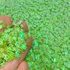 15g // Shamrock Glitter // Green Four Leaf Clover Confetti view 1