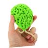 UTHCLO 3pcs Exfoliating Facial Sponges for Daily Cleansing Portable Face Scrubbers and for Deep Skin Care and Makeup Removal view 4