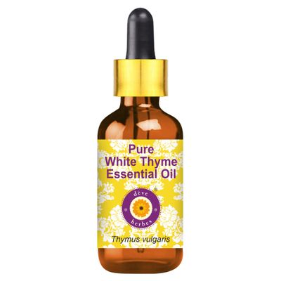 dve herbes Pure White Thyme Essential Oil (Thymus vulgaris) with Glass Dropper Natural Therapeutic Grade Steam Distilled 100ml (3.38 oz)
