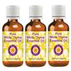 dve herbes Pure White Thyme Essential Oil (Thymus vulgaris) Natural Therapeutic Grade Steam Distilled (Pack of Three) 100mlx3 (10 oz) view 1