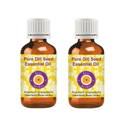 dve herbes Dill Seed Essential Oil (Anethum graveolens) Pure | Non-Sticky | Non-Greasy | Lightweight | Men & Women | All Skin Types | Steam Distilled 30ml X 2 (2 oz)