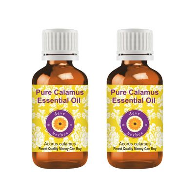 dve herbes Calamus Essential Oil (Acorus Calamus) Pure | Non-Sticky | Non-Greasy | Lightweight | Men & Women | All Skin Types | Steam Distilled 15ml X 2 (1 oz)