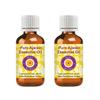 dve herbes Ajwain Essential Oil (Trachyspermum Ammi) Pure | Non-Sticky | Non-Greasy | Lightweight | Men & Women | All Skin Types | Steam Distilled 30ml X 2 (2 oz) view 1