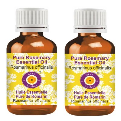 dve herbes Rosemary Essential Oil (Rosmarinus officinalis) Pure | Non-Sticky | Non-Greasy | Lightweight | Men & Women | All Skin Types | Steam Distilled 30ml X 2 (2 oz)