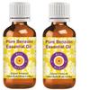 dve herbes Benzoin Essential Oil (Styrax Benzoin) Pure | Viscous Texture | Rich Aroma | Unisex | All Skin Types | for External Use Only | Natural Extract | Steam Distilled 30ml X 2 (2 oz) view 1