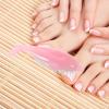 BESTYASH Fingernail Cleaning Brush Set 4pcs Dolphin Shaped Nail Brush Manicure Tools Soft Bristles Portable for Travel Random Color view 3