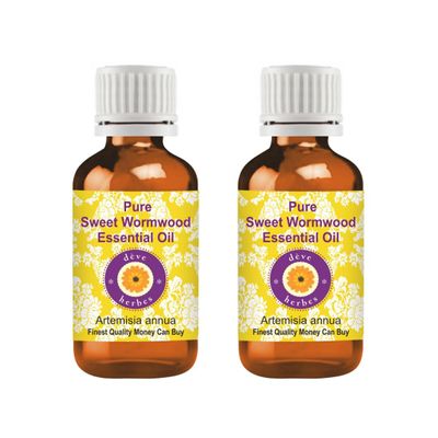 dve herbes Sweet Wormwood Essential Oil (Artemisia annua) Pure | Non-Sticky | Non-Greasy | Lightweight | Men & Women | All Skin Types | Steam Distilled 10ml X 2 (0.67 oz)