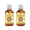 dve herbes Sweet Wormwood Essential Oil (Artemisia annua) Pure | Non-Sticky | Non-Greasy | Lightweight | Men & Women | All Skin Types | Steam Distilled 10ml X 2 (0.67 oz) view 1