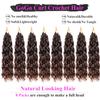 10 Inch Pre Looped Crochet Hair for Black Women Girls&Kids-8 Packs Gogo Curl/Beach Curl/Ocean/Water/Deep Wave Synthetic Hair Tangle-Free Full&Natural Look Long-Lasting for Daily Wear(4/30) view 2