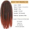 105 Strands Marley Twist Braiding Hair 12 Inch Marley Twist Hair Long T350 Marley Hair for Faux Locs 7 Packs Afro Twist Hair Extensions (T350#, 12INCH(pack of 7)) view 2