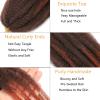 105 Strands Marley Twist Braiding Hair 12 Inch Marley Twist Hair Long T350 Marley Hair for Faux Locs 7 Packs Afro Twist Hair Extensions (T350#, 12INCH(pack of 7)) view 3