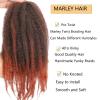 105 Strands Marley Twist Braiding Hair 12 Inch Marley Twist Hair Long T350 Marley Hair for Faux Locs 7 Packs Afro Twist Hair Extensions (T350#, 12INCH(pack of 7)) view 4