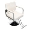 Hydraulic Barber Chair, 360 Degree Rotating Salon Chairs for Hair Stylist Load-bearing Capacity 440lbs, Adjustable Hair Stylist Chair for Hair Salons, Beauty Salons (Silver Shelf + Beige Leather) view 1