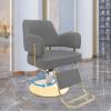 360 Rotatable Hairdressing Chair, Hydraulic Barber Chair, Reclining Salon Hair Chairs with Height Adjustable, Aluminium Alloy Footrest, Beauty Spa Cosmetology Shampoo Equipment (Dark Grey) view 2