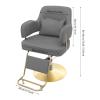 360 Rotatable Hairdressing Chair, Hydraulic Barber Chair, Reclining Salon Hair Chairs with Height Adjustable, Aluminium Alloy Footrest, Beauty Spa Cosmetology Shampoo Equipment (Dark Grey) view 3