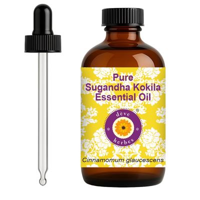 dve herbes Sugandha Kokila Essential Oil (Cinnamomum glaucescens) with Glass Dropper | Pure | Non-Sticky | Non-Greasy | Lightweight | Men & Women | All Skin Types | Steam Distilled 120ml (4 oz)